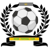 https://img.shanyao51.com/img/football/team/6dc6d59af2f0962597b412473a6708ee.png