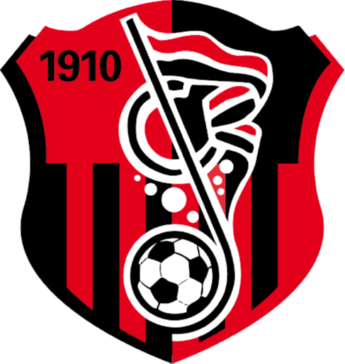 https://img.shanyao51.com/img/football/team/93e018cff141af47eae05333ac19a65d.png