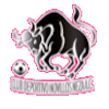 https://img.shanyao51.com/img/football/team/97c3ef30cac48cadff97605e387feefa.png