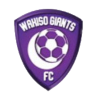 https://img.shanyao51.com/img/football/team/c5a548d374c3bb29f1190bf670442c90.png