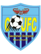 https://img.shanyao51.com/img/football/team/d0521f18f04516bfd8ac6702b3c42456.png