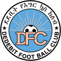 https://img.shanyao51.com/img/football/team/f0198dabce25aebd46810f7fb9c38e3d.png